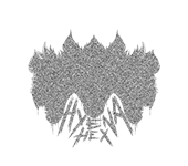 Hyena Hex x FROMTHEZOOFILM Hyena Hex Wildflower music video